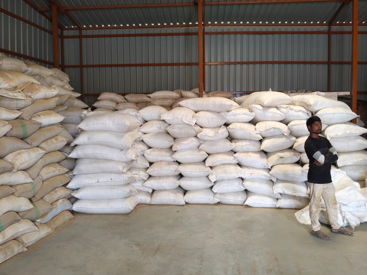 Jeera (Cumin) Display